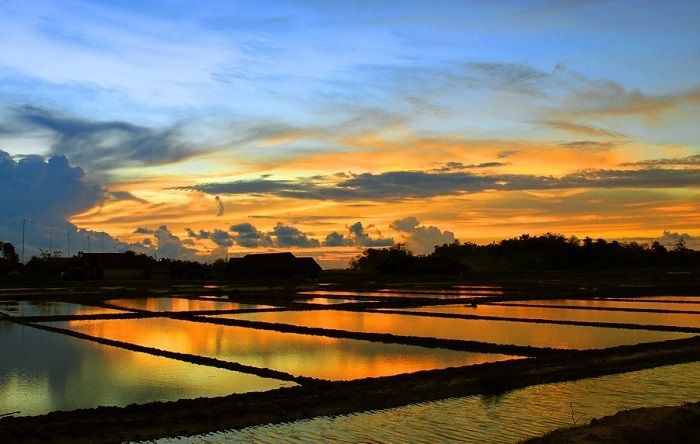 Budidaya udang di musim hujan